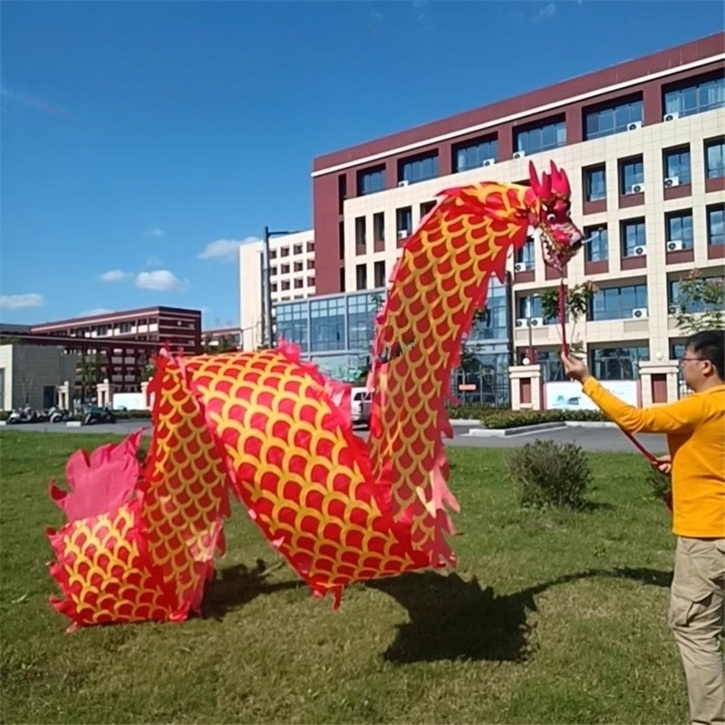 8Meter 3D Dragon Head Fitness  - огляд і ціна Outdoor Sport Gym
