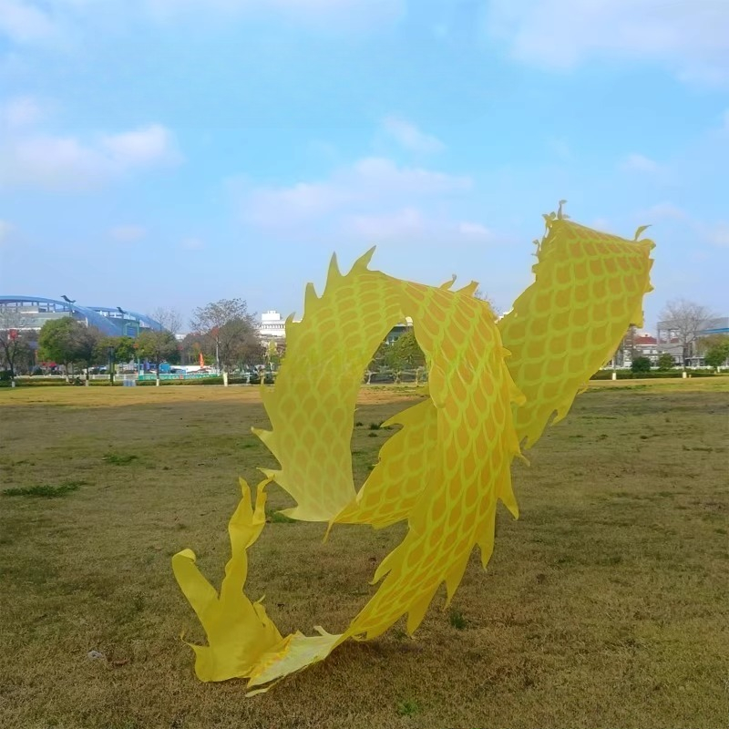 8Meter 3D Dragon Head Fitness  - огляд і ціна Outdoor Sport Gym
